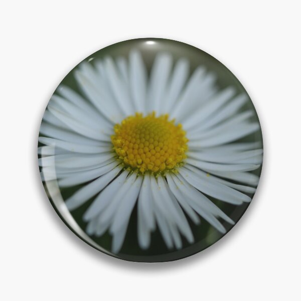 Item preview, Daisy designed and sold by rockcat.