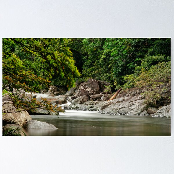Item preview, Up The Creek - Mossman Gorge designed and sold by Jenny Dean.