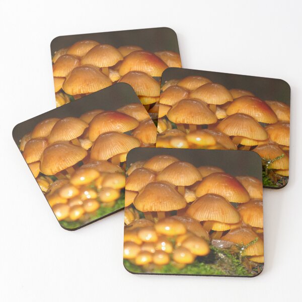 Item preview, Honey Glazed Fungi - St Columba Falls, Tasmania. designed and sold by Marilyn Harris.