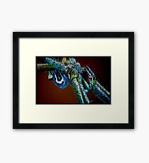 Sunlight upon my belly Framed Print