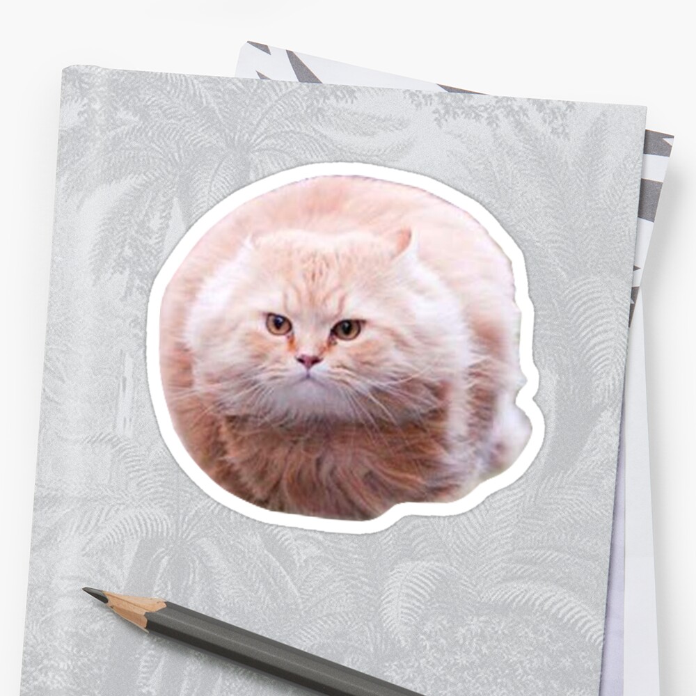 "Flying Cat Ball" Sticker by emrapper | Redbubble