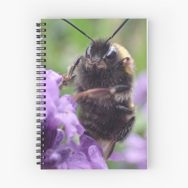 Item preview, Moustached bee designed and sold by SarahJones6.