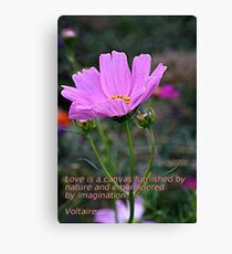 Delightful Cosmo Canvas Print
