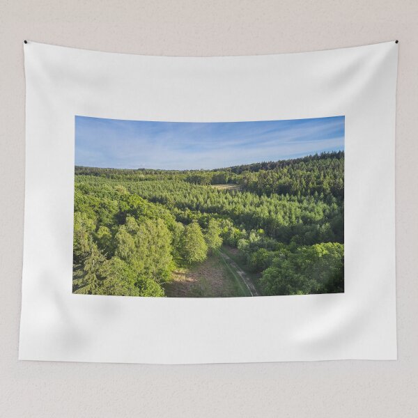 Item preview, A Forest, Cute Scenery designed and sold by lucyhilli3r.