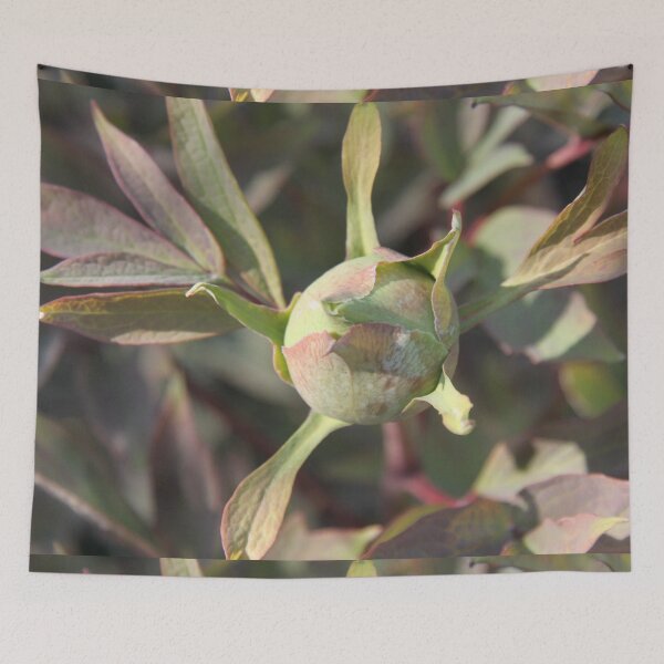 Item preview, Peony bud spring flower blossom	 designed and sold by EstelleRossetti.