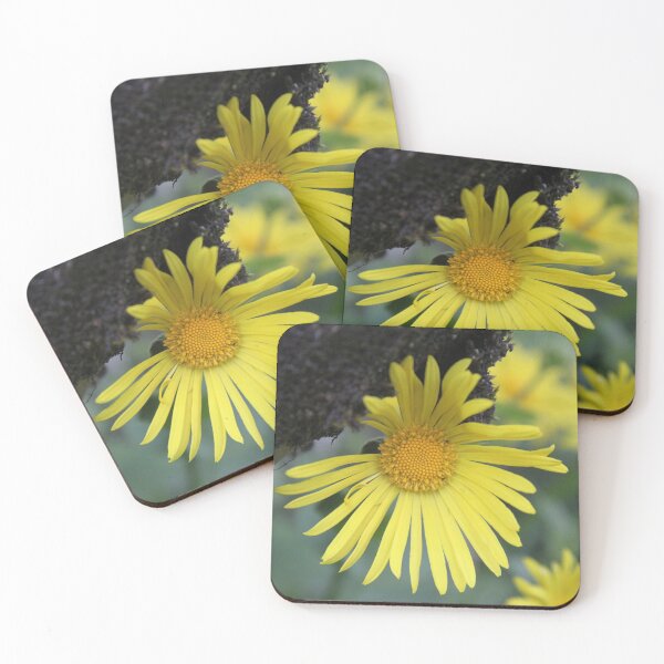 Item preview, Yellow spring flower doronicum orientale	 designed and sold by EstelleRossetti.