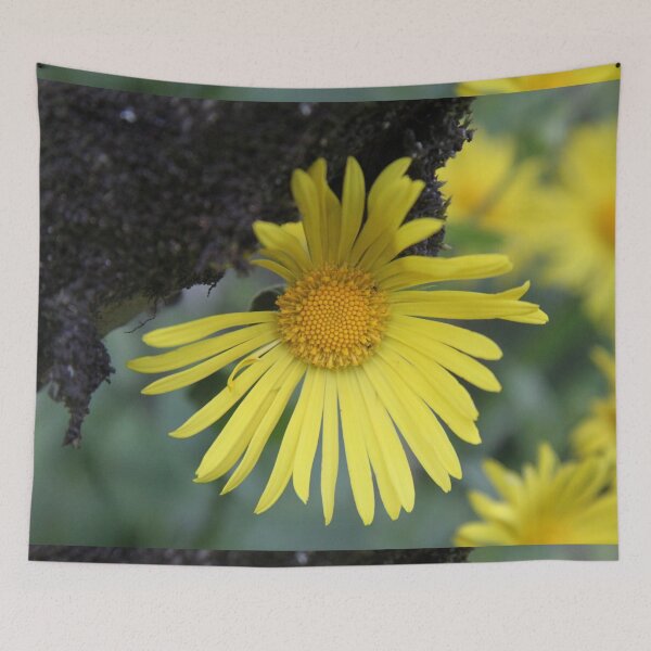 Item preview, Yellow spring flower doronicum orientale designed and sold by EstelleRossetti.