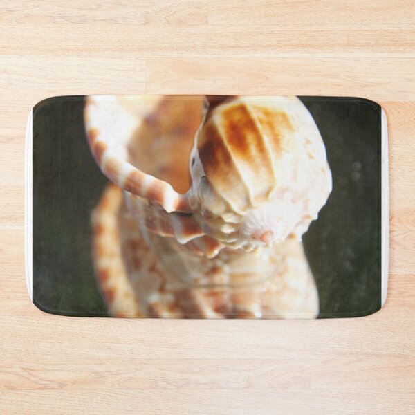 Item preview, Spiral ribbed harp ocean predatory snail shell	 designed and sold by EstelleRossetti.