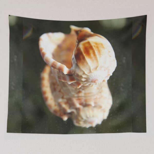 Item preview, Spiral ribbed harp ocean predatory snail shell	 designed and sold by EstelleRossetti.