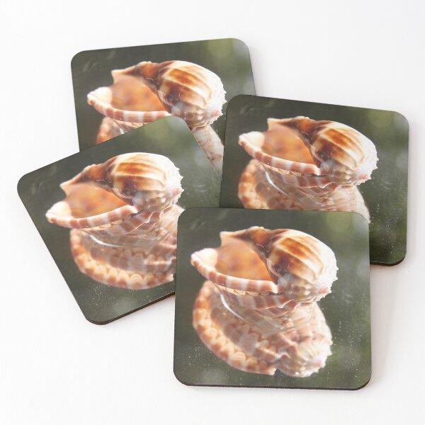 Item preview, Spiral ribbed harp ocean predatory snail shell	 designed and sold by EstelleRossetti.