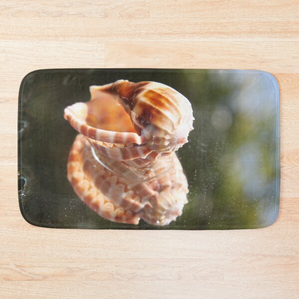 Item preview, Spiral ribbed harp ocean predatory snail shell	 designed and sold by EstelleRossetti.