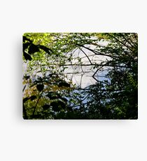 Reflection Canvas Print
