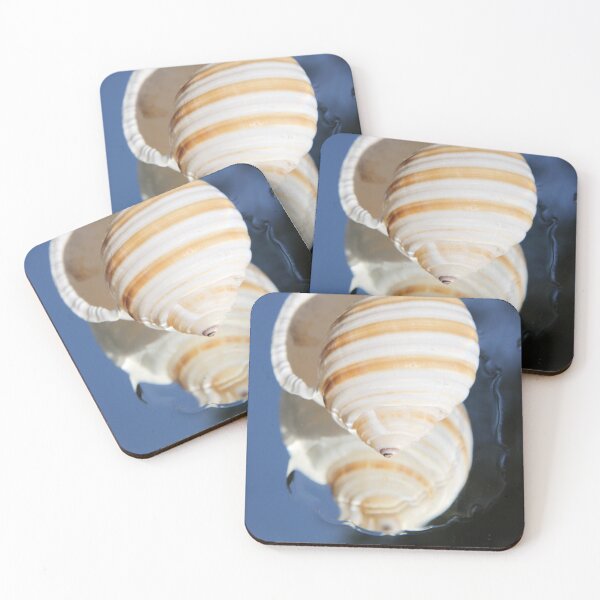 Item preview, Beautiful tun cask shell on a mirror	 designed and sold by EstelleRossetti.