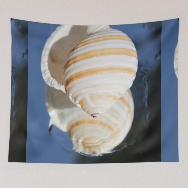 Item preview, Beautiful tun cask shell on a mirror	 designed and sold by EstelleRossetti.