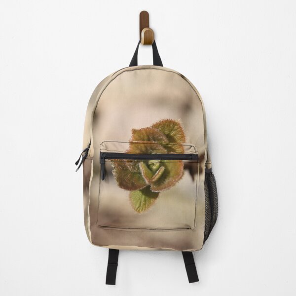 Item preview, Kiwifruit bud branch and leaves during springtime designed and sold by EstelleRossetti.
