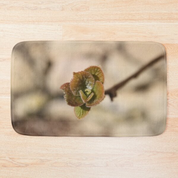 Item preview, Kiwifruit bud branch and leaves during springtime	 designed and sold by EstelleRossetti.