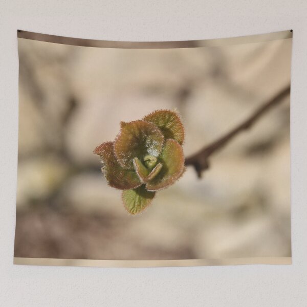 Item preview, Kiwifruit bud branch and leaves during springtime	 designed and sold by EstelleRossetti.