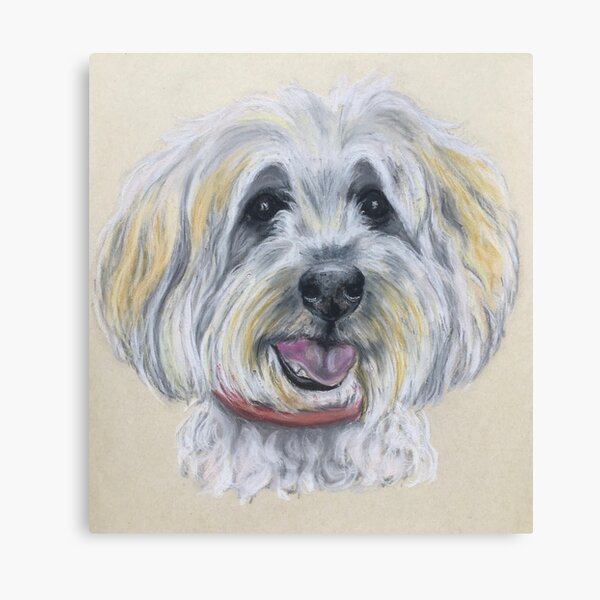 Tibetan Terrier Canvas Print