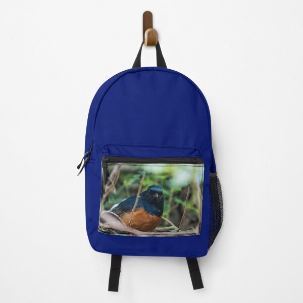 Item preview, White-rumped shama designed and sold by KensLensDesigns.
