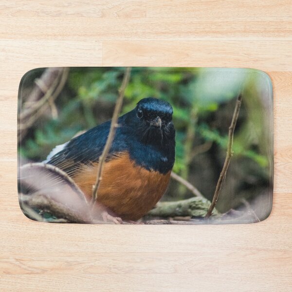 Item preview, White-rumped shama designed and sold by KensLensDesigns.