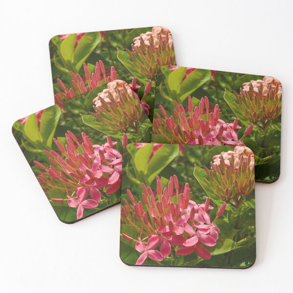 Item preview, Tropical Honeysuckle Flower designed and sold by Mr-dyer-designs.
