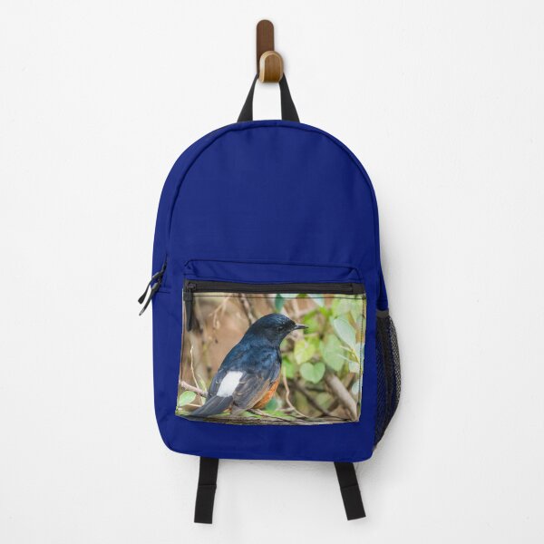 Item preview, White-rumped shama designed and sold by KensLensDesigns.