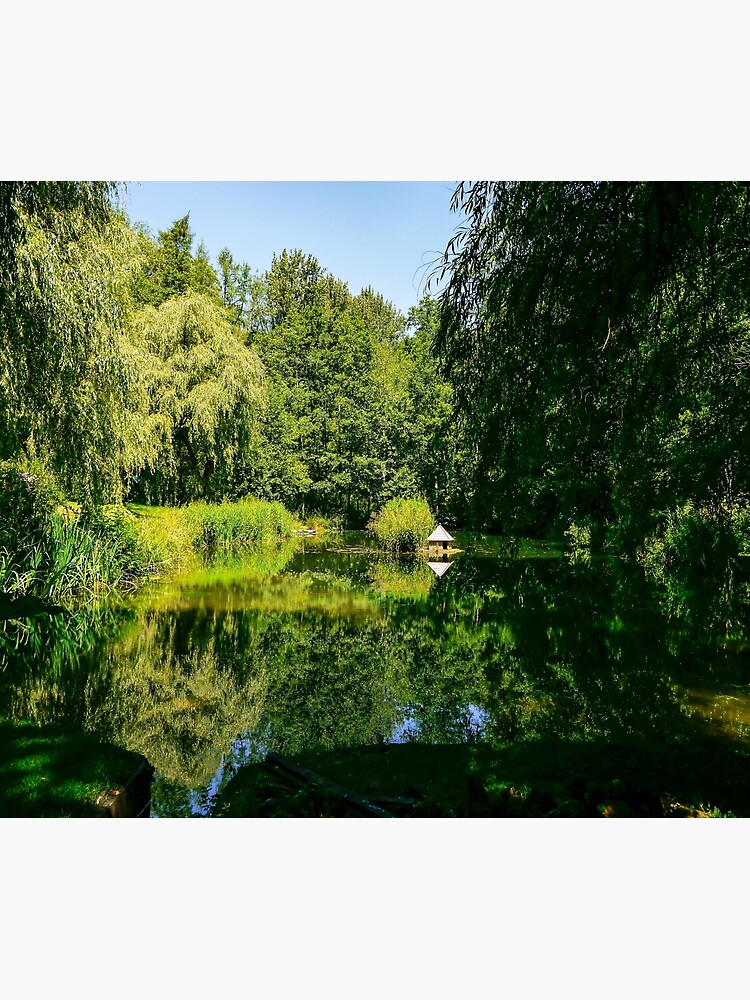Summertime reflections. by ScenicViewPics