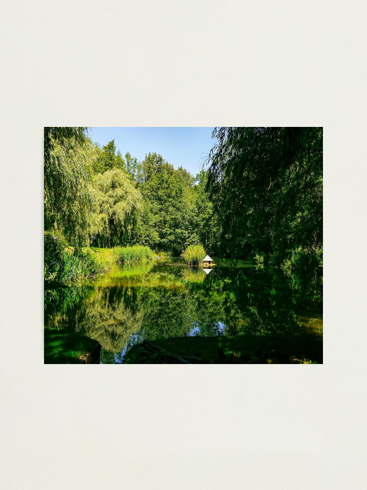 Alternate view of Summertime reflections. Photographic Print
