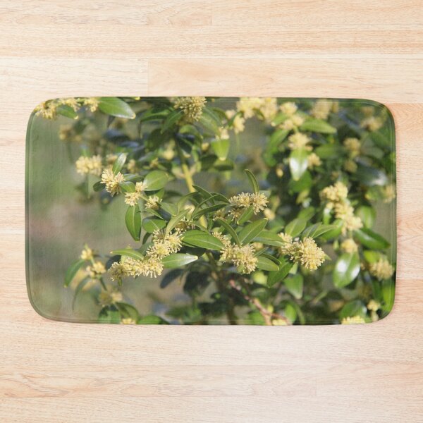 Item preview, Perennial evergreen small ornamental tree yellow blooming	 designed and sold by EstelleRossetti.