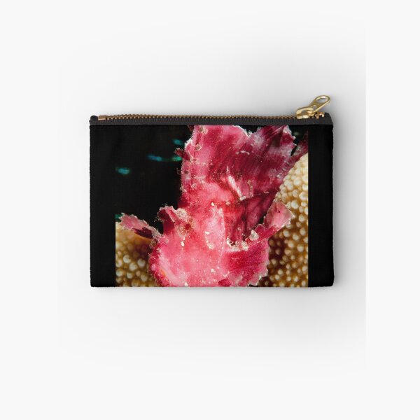 Item preview, Hoja de cabracho, Parque Nacional de Wakatobi, Indonesia designed and sold by Erik Schlogl.