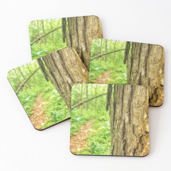 Item preview, Tree On The Trail Hiking Photo designed and sold by Midlife50.