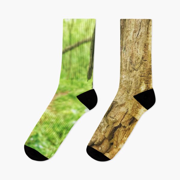 Item preview, Tree On The Trail Hiking Photo designed and sold by Midlife50.