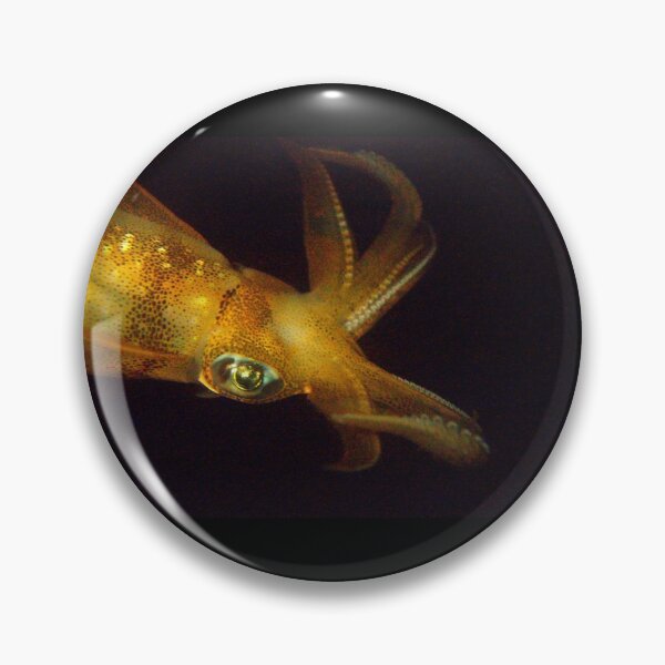 Item preview, Squid designed and sold by sasson.