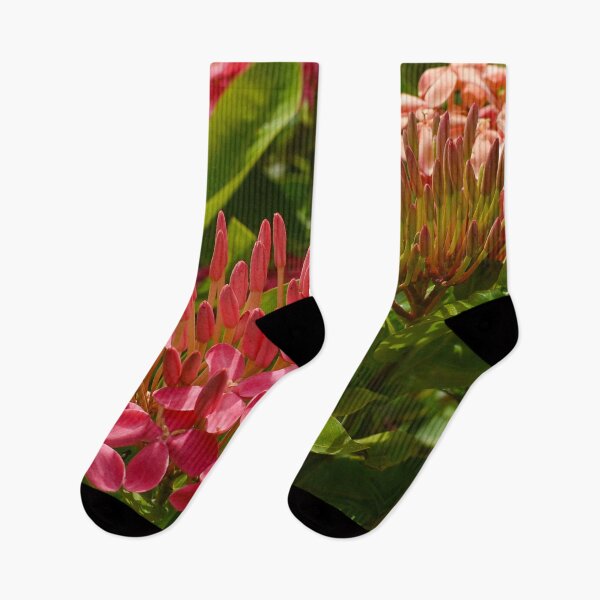 Item preview, Tropical Honeysuckle Flower designed and sold by Mr-dyer-designs.