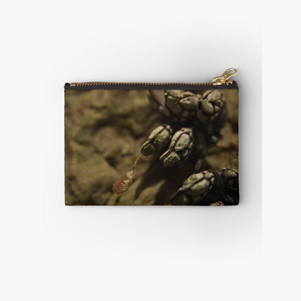 Item preview, Seapod designed and sold by David SINIGAGLIA.