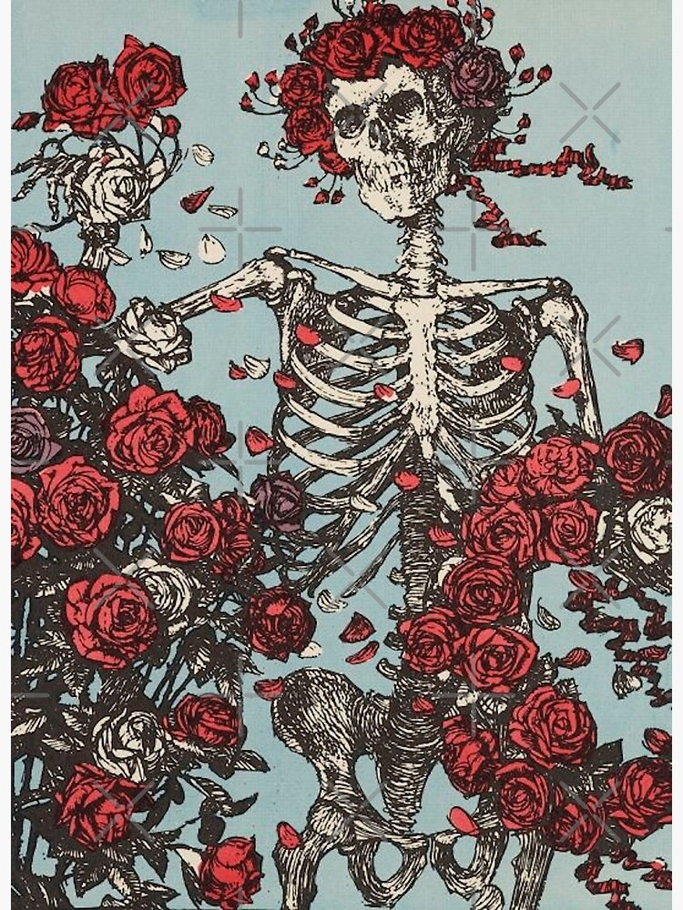 "Aesthetic Rose Skeleton Ink Drawing" Poster by volkaneeka Redbubble