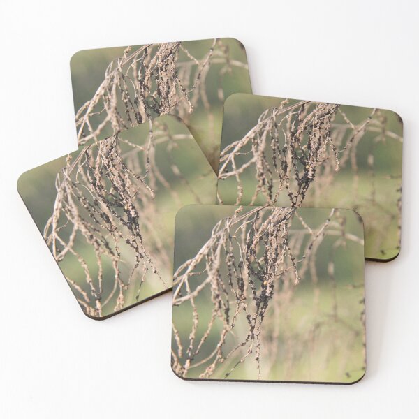 Item preview, Dried herbaceous plant flower bloom seeds springtime	 designed and sold by EstelleRossetti.