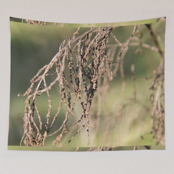 Item preview, Dried herbaceous plant flower bloom seeds springtime	 designed and sold by EstelleRossetti.