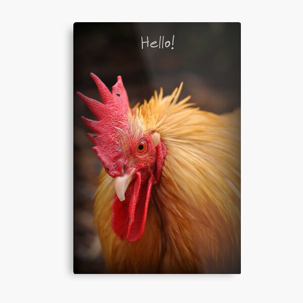 Hello ~ Metal Print