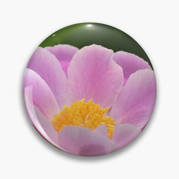 Item preview, Shrub Peony Sympathy Card designed and sold by Kathleen Brant.