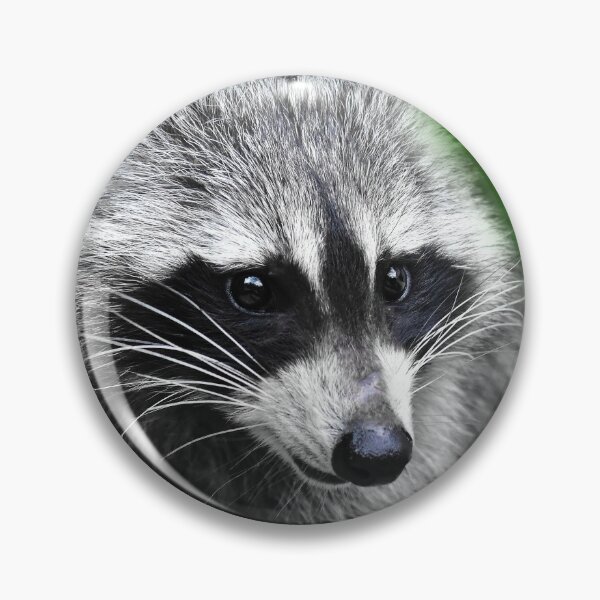 Item preview, Visit from the pretty raccoon designed and sold by Glineur.