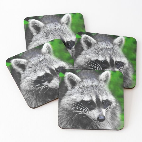 Item preview, Visit from the pretty raccoon designed and sold by Glineur.