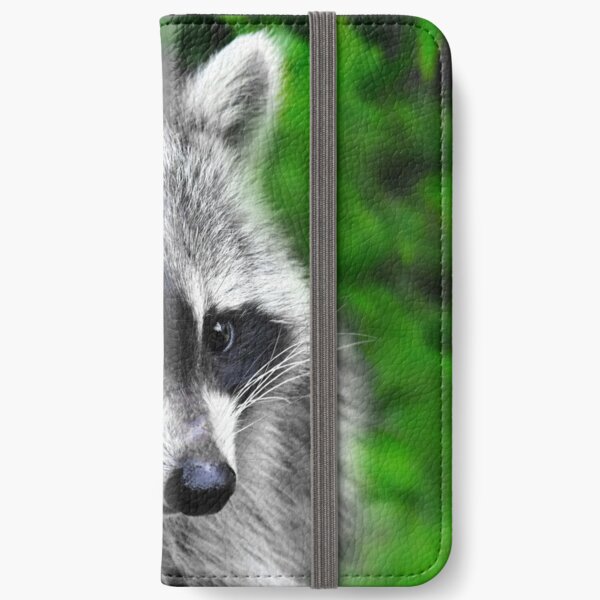 Raccoon delver mac os download