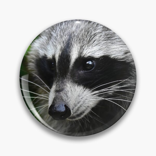 Item preview, Raccoon - Visit the pretty raccoon designed and sold by Glineur.