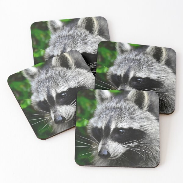 Item preview, Raccoon - Visit the pretty raccoon designed and sold by Glineur.