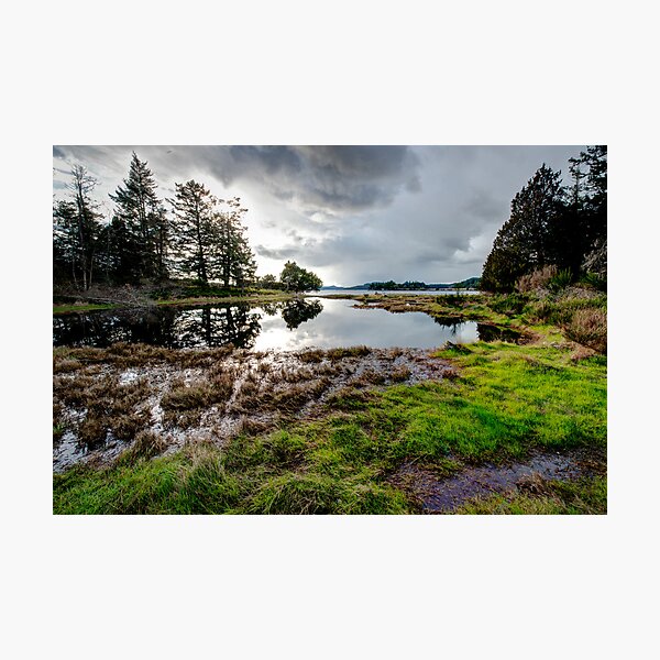 The Swamp at Winter Cove Photographic Print