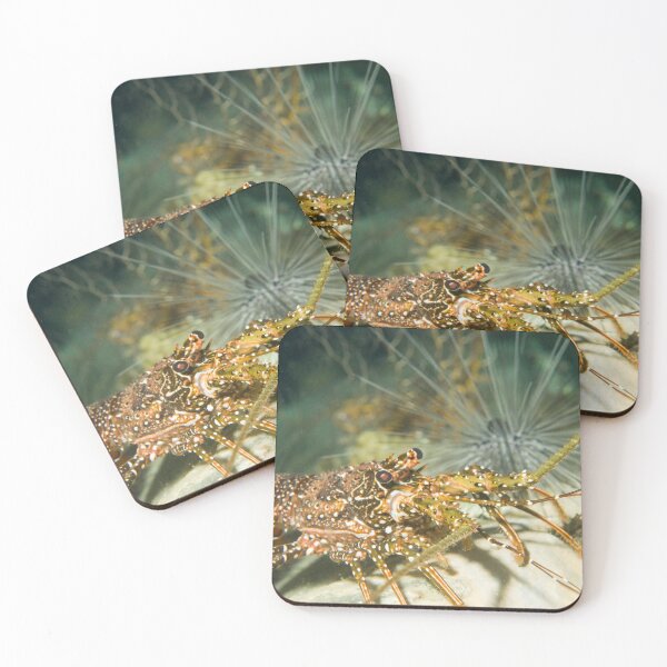 Item preview, Langouste designed and sold by David SINIGAGLIA.