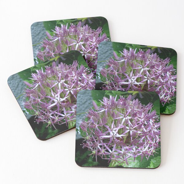 Artikelvorschau, Allium Christophii entworfen und verkauft von Sharon Perrett.