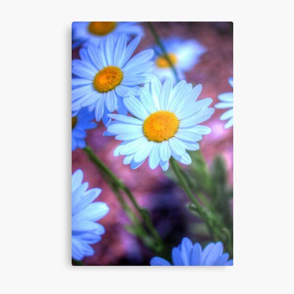 Item preview, Daisy 4 designed and sold by John Velocci.