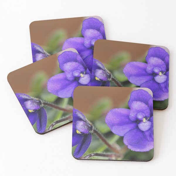 Item preview, Miniature African Violet designed and sold by ztrnorge.